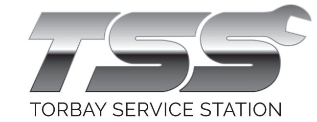 TSS_3D-logo_white-background