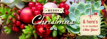 designedbycc_fb_cover-page_xmas