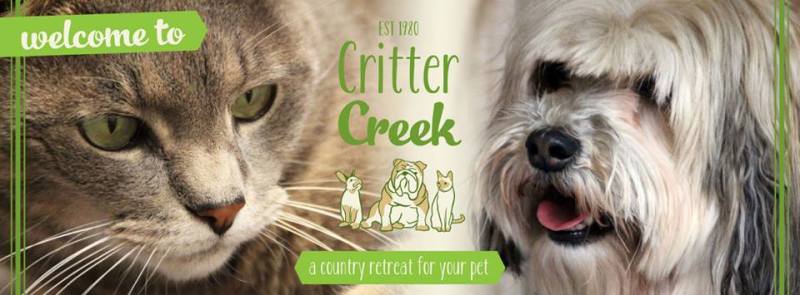 10251943_787691591256168_8382786668229269313_n