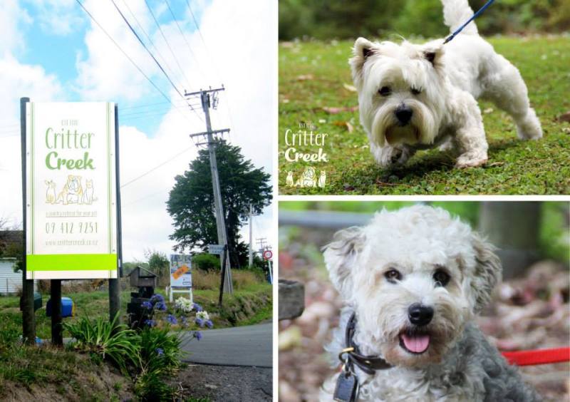 1520739_727781443913850_172307285_n