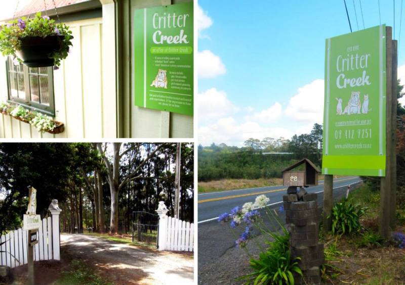 1560767_727781437247184_1710485640_n