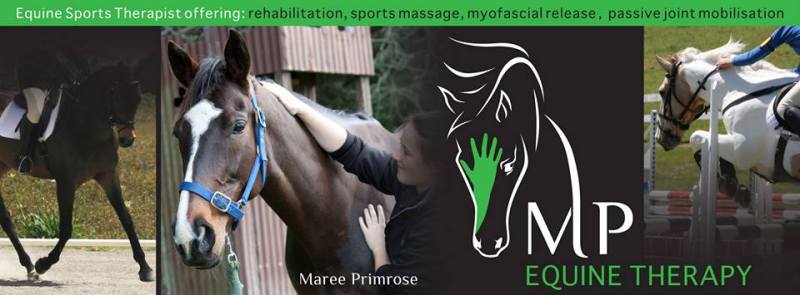 1623373_847708375254489_3317749543813647381_n