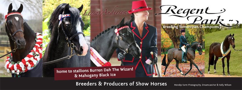 179120_447542438604420_1436468437_n