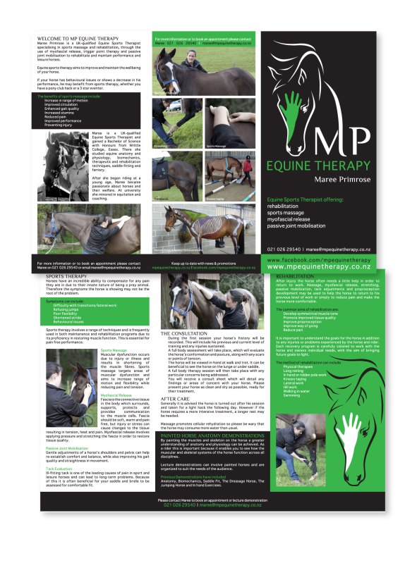 designedbyccc_flyers_mp